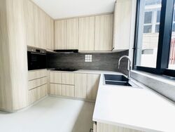 Whitley Road (D11), Semi-Detached #502446341